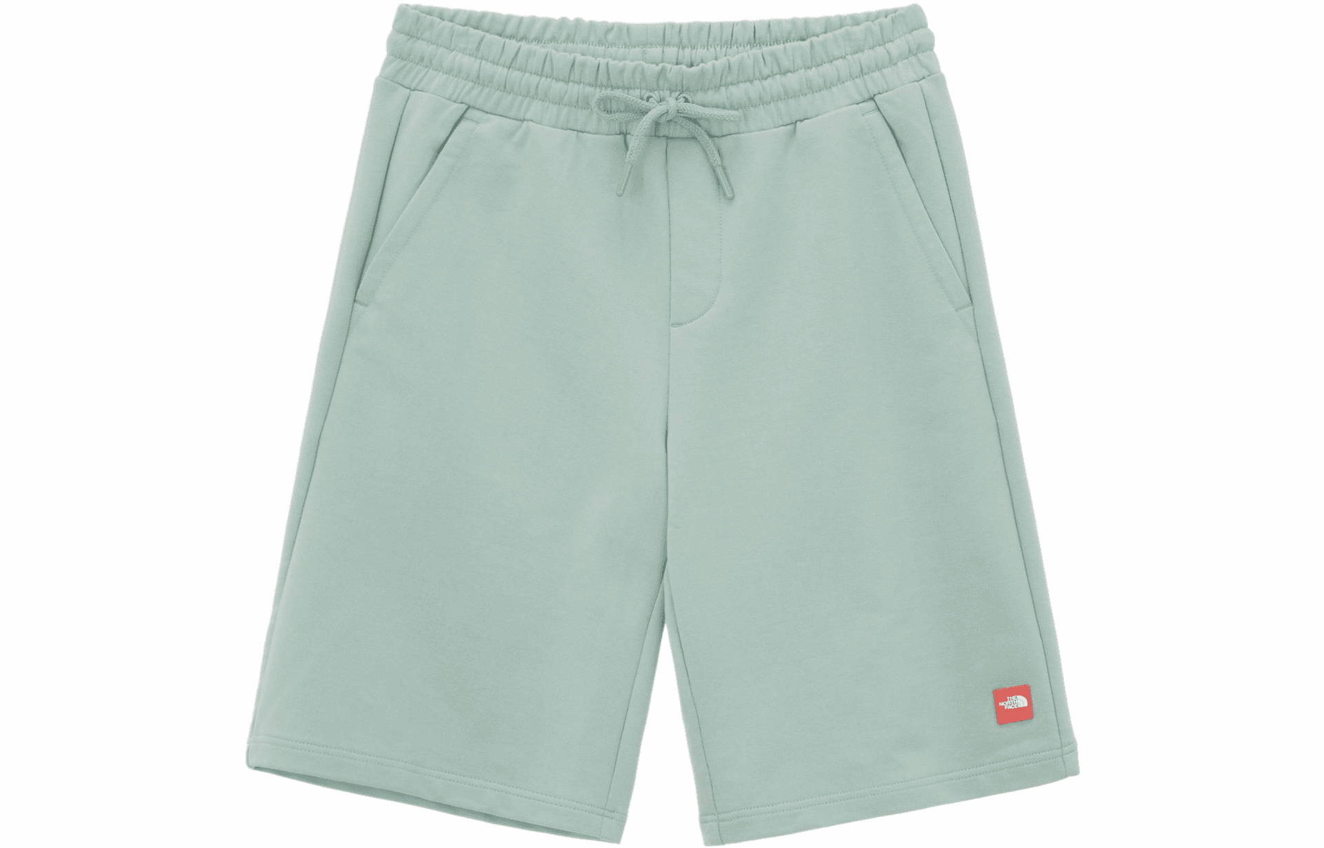 Шорты THE NORTH FACE Logoa - изображение 1