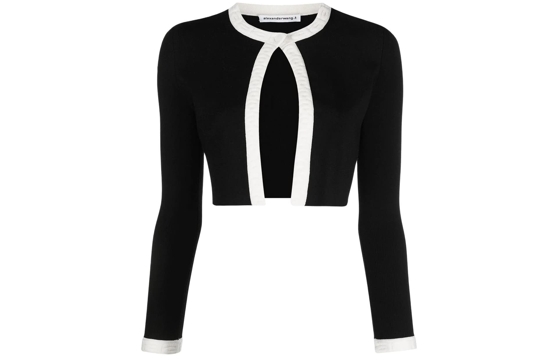 alexander wang SS22 Logo - изображение 1