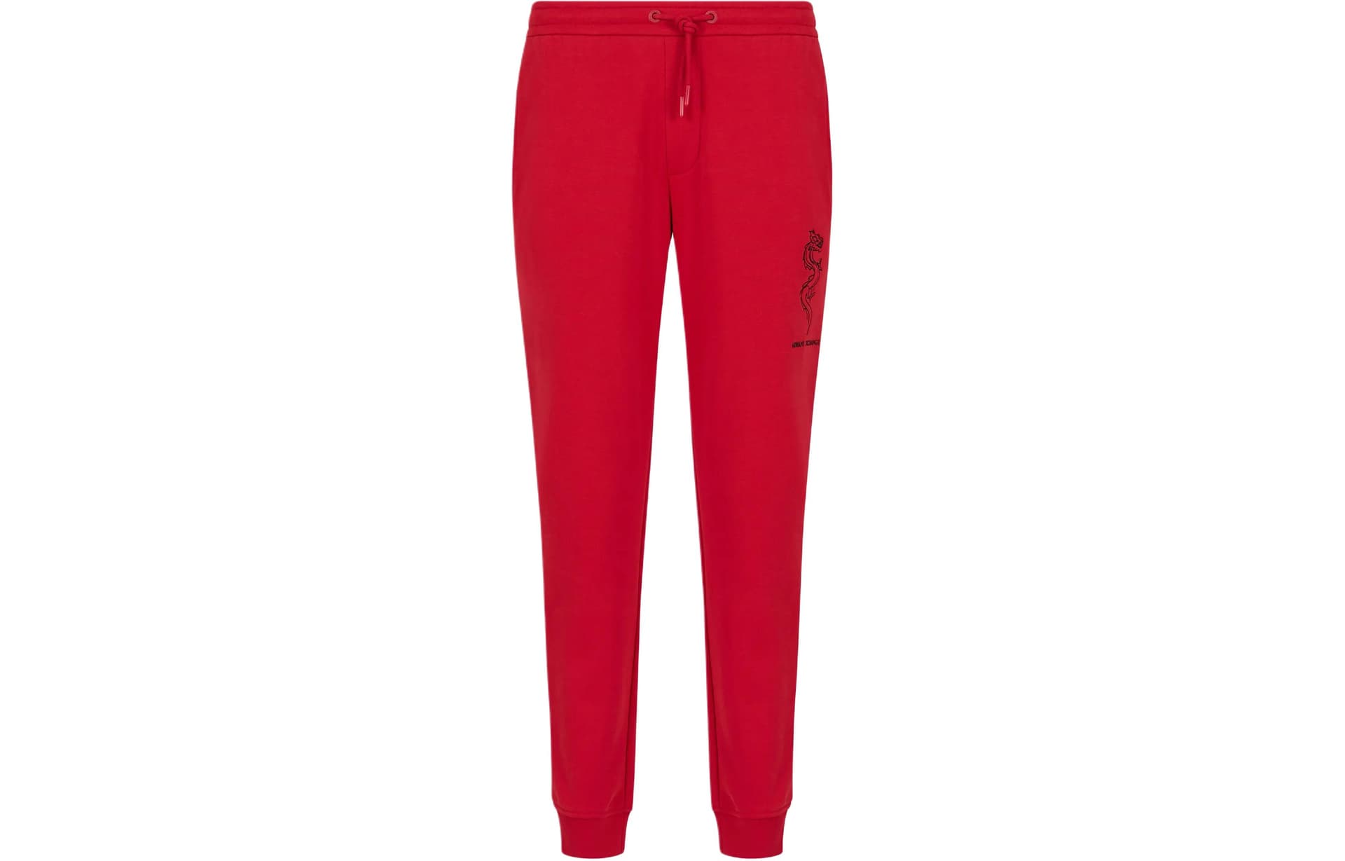 Штаны ARMANI EXCHANGE SS24 - изображение 1