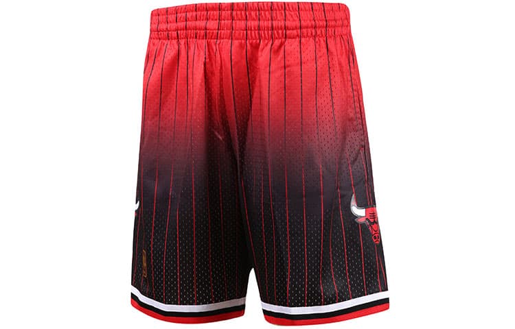 Баскетбольные шорты Mitchell Ness - изображение 1