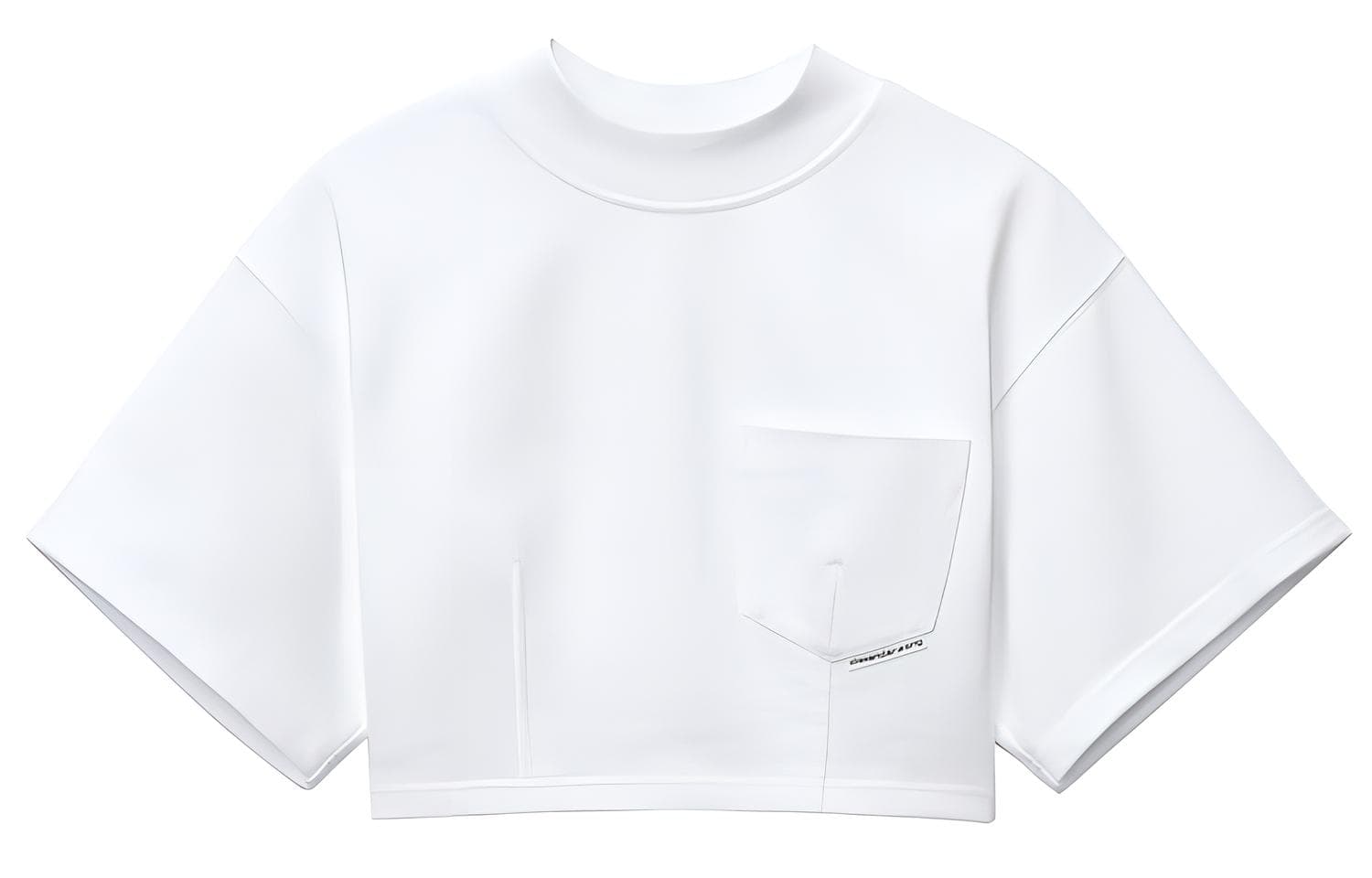 alexander wang SS21 T - изображение 1