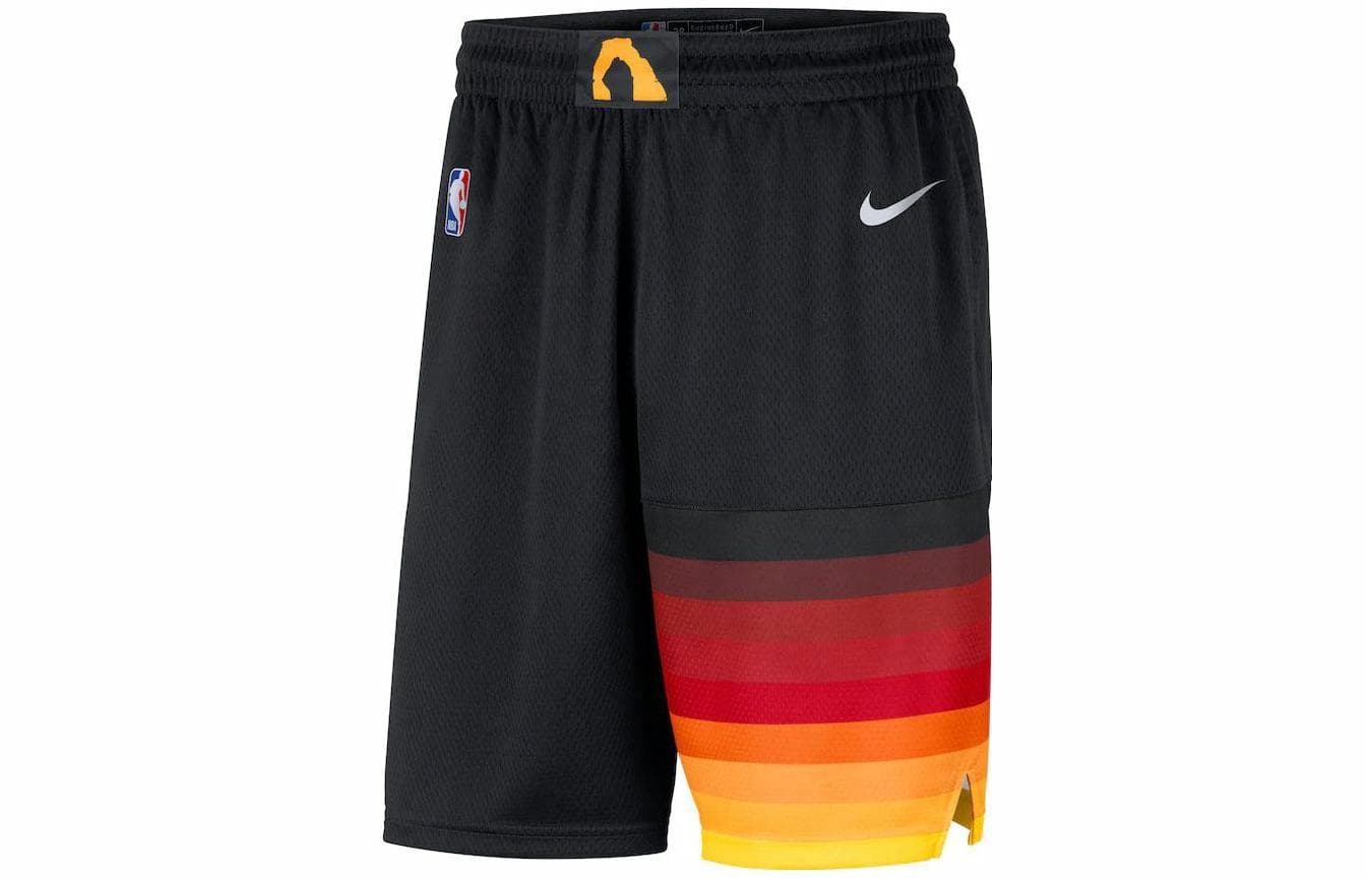 Баскетбольные шорты Nike NBA Logo SW 20-21 - изображение 1