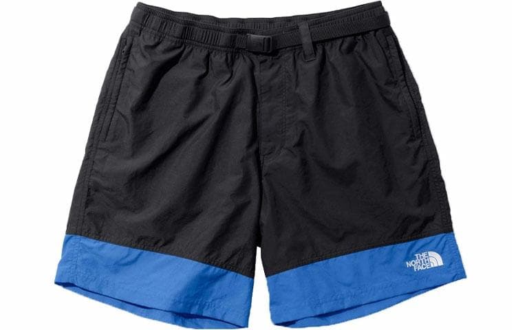 Шорты THE NORTH FACE Logo - изображение 1