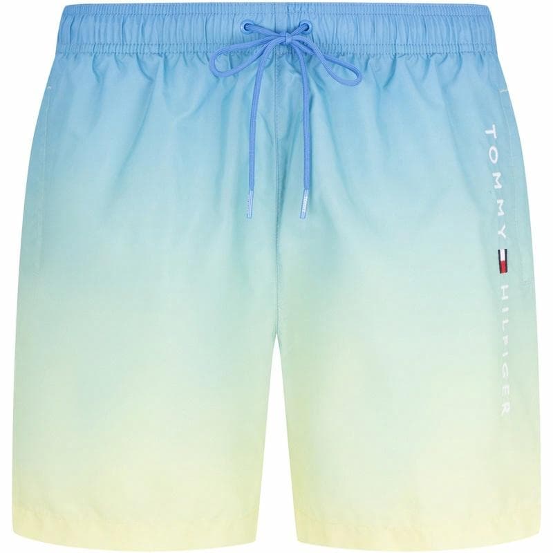 Шорты Tommy Hilfiger Gradient Shorts - изображение 1