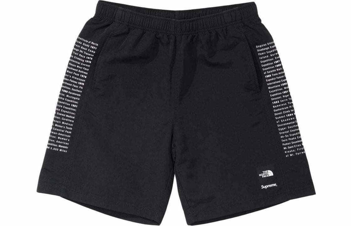 Шорты Supreme x The North Face Nylon Short - изображение 1
