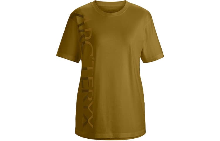 Футболка Arcteryx Downword Fade T T - изображение 2