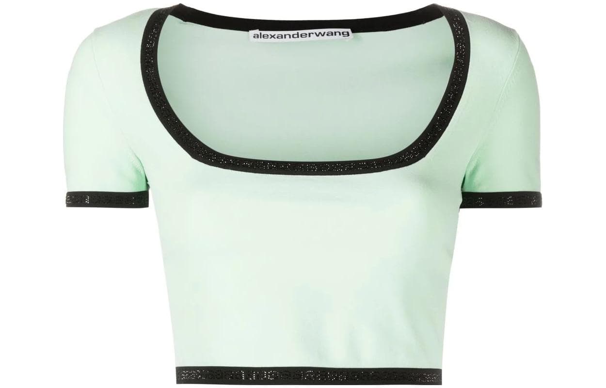 alexander wang LogoT - изображение 1