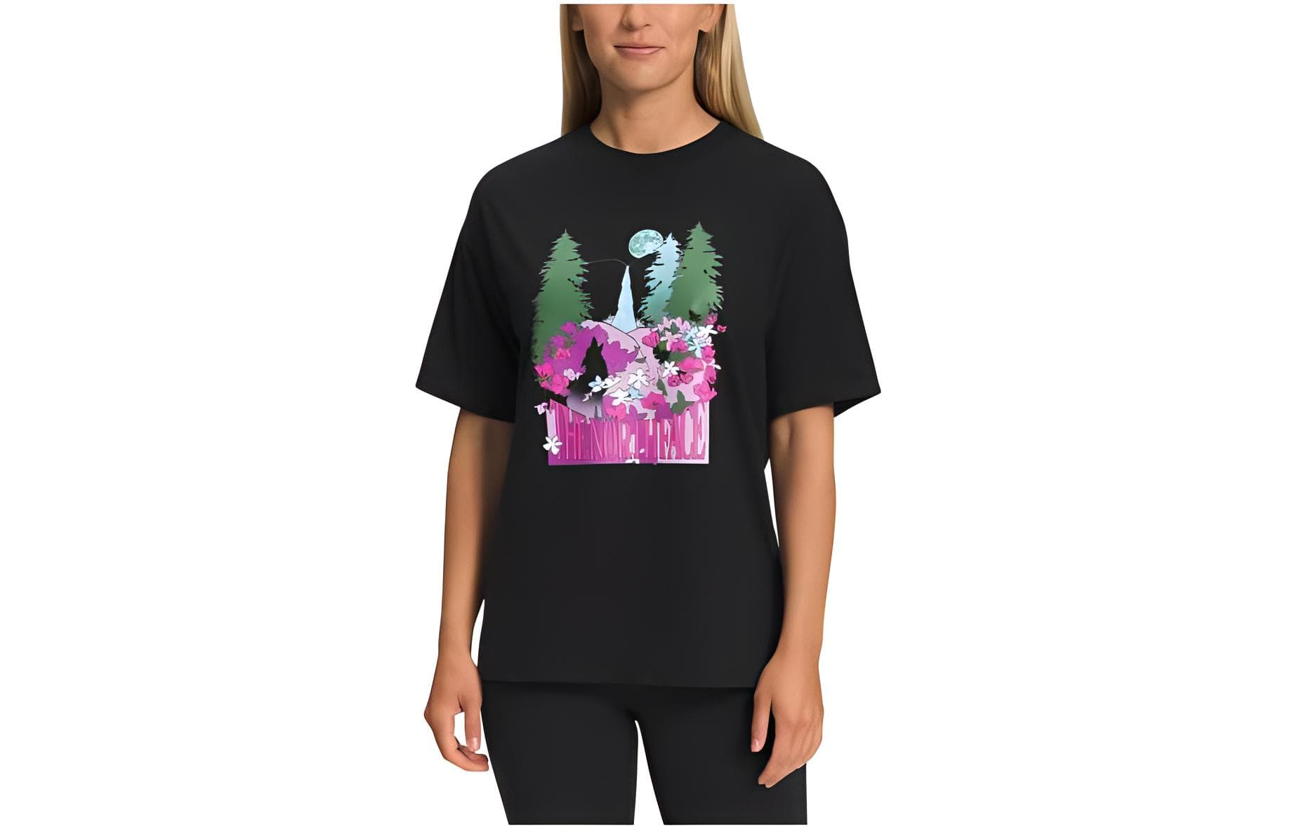 Футболка THE NORTH FACE T - изображение 1