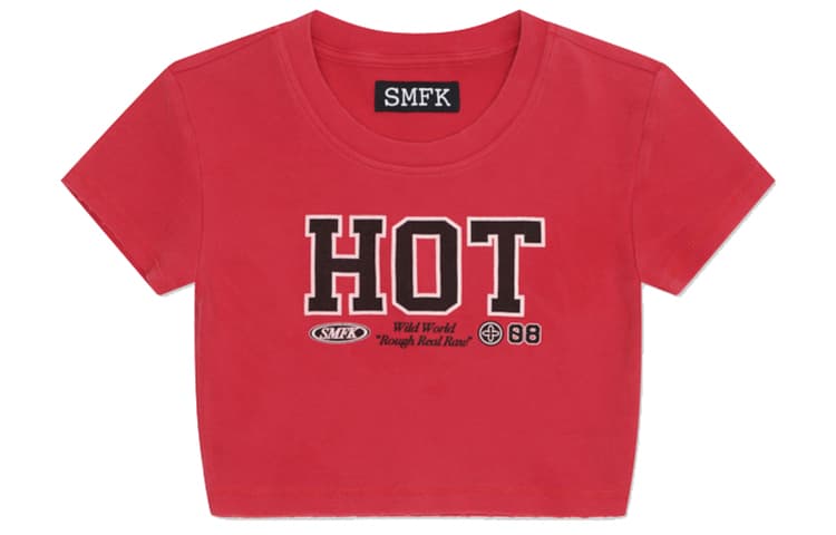 SMFK T - изображение 1