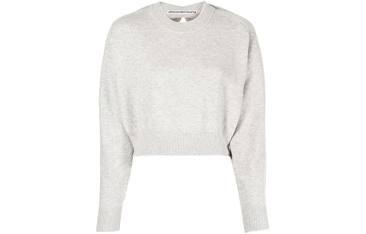 alexander wang FW21 - изображение 1