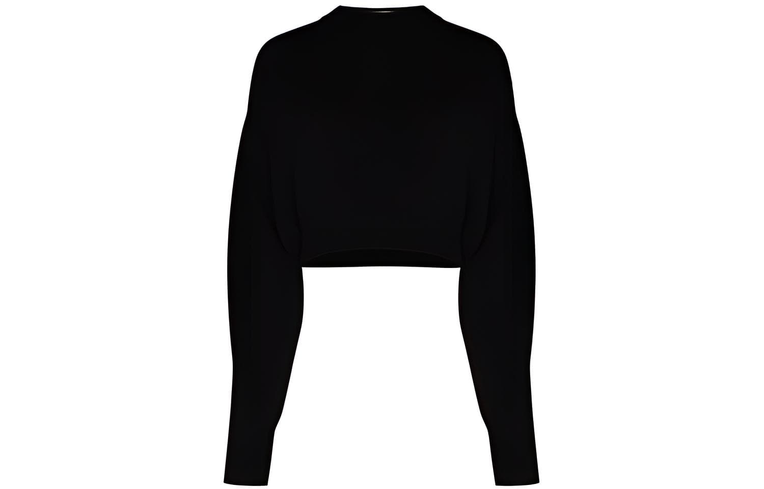 alexander wang - изображение 1
