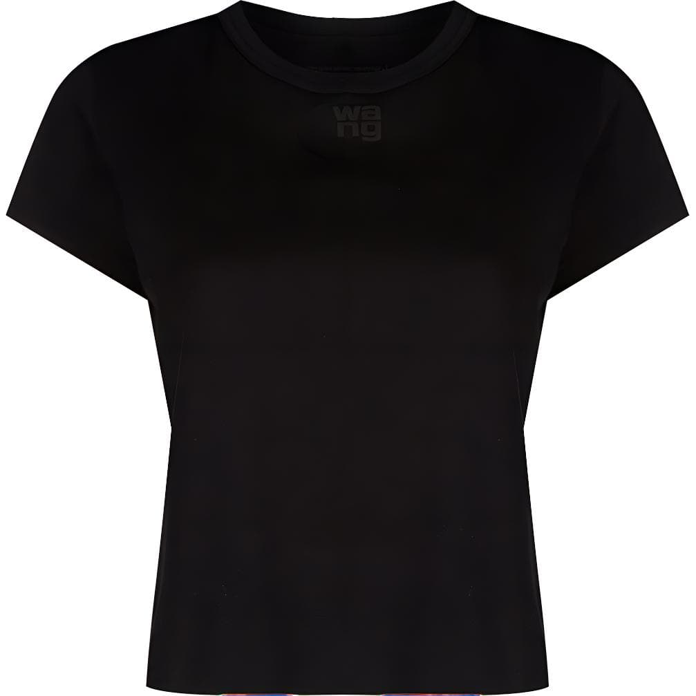 Футболка alexander wang FW22 LogoT - изображение 1