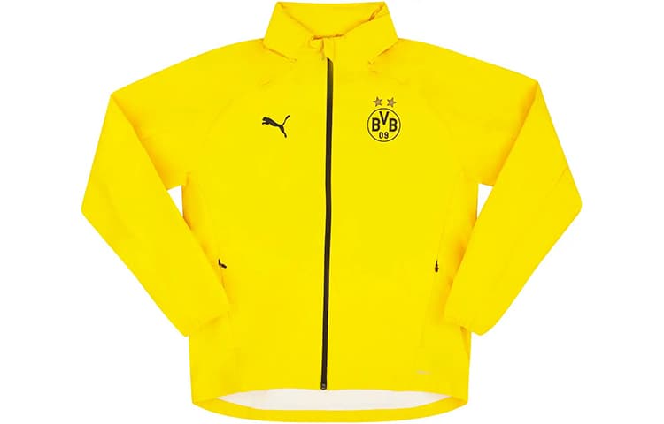 PUMA logo 20-21 - изображение 1