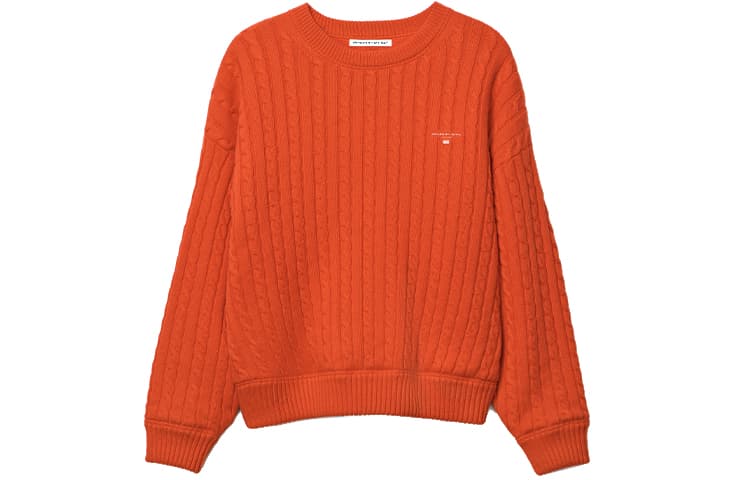 alexander wang FW21 - изображение 1
