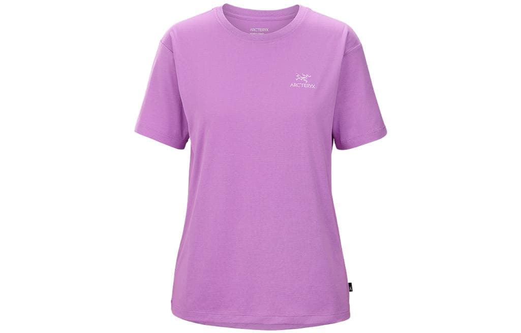 Футболка Arcteryx ARC ' LOGO EMBLEM Emblem T