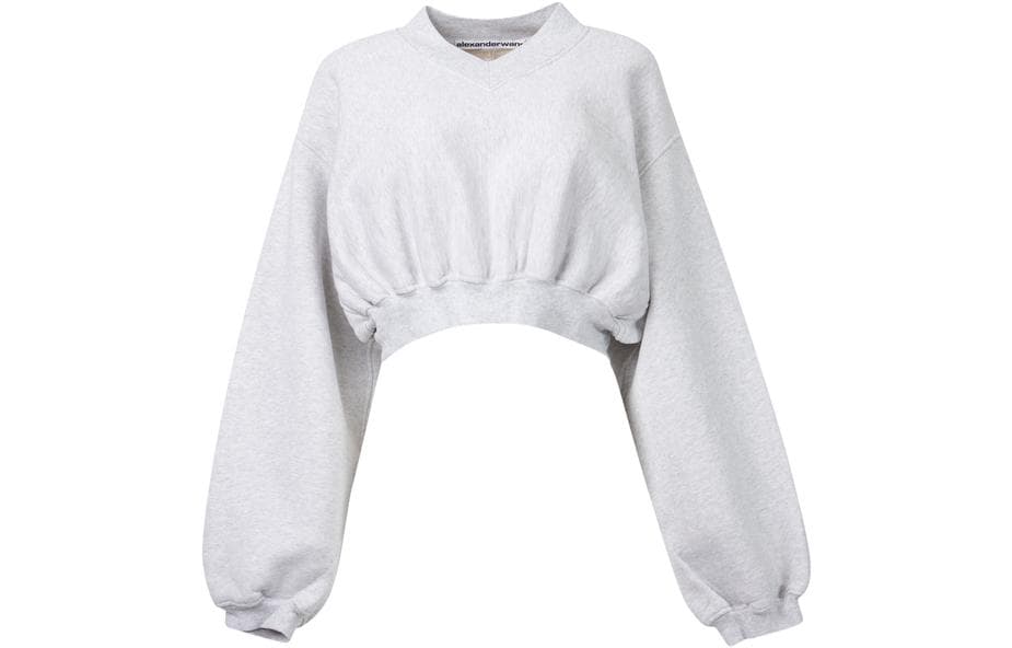 Худи alexander wang VLogo - изображение 1