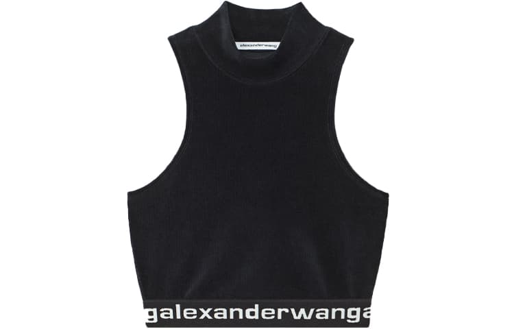 alexander wang SS21 - изображение 1