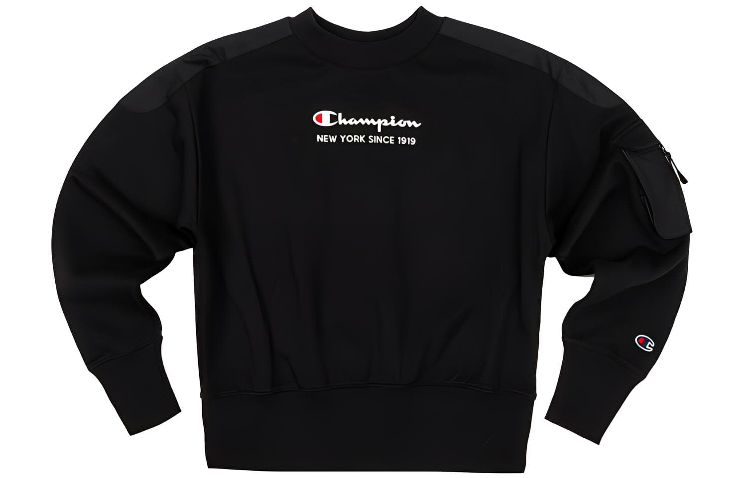 Худи Champion Rochester Logo - изображение 1
