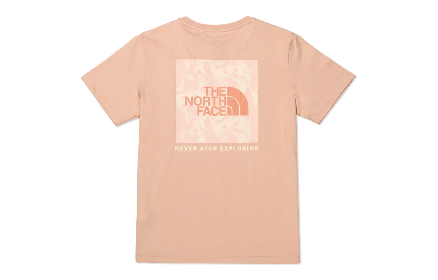 Футболка THE NORTH FACE SS23 Logo T - изображение 1