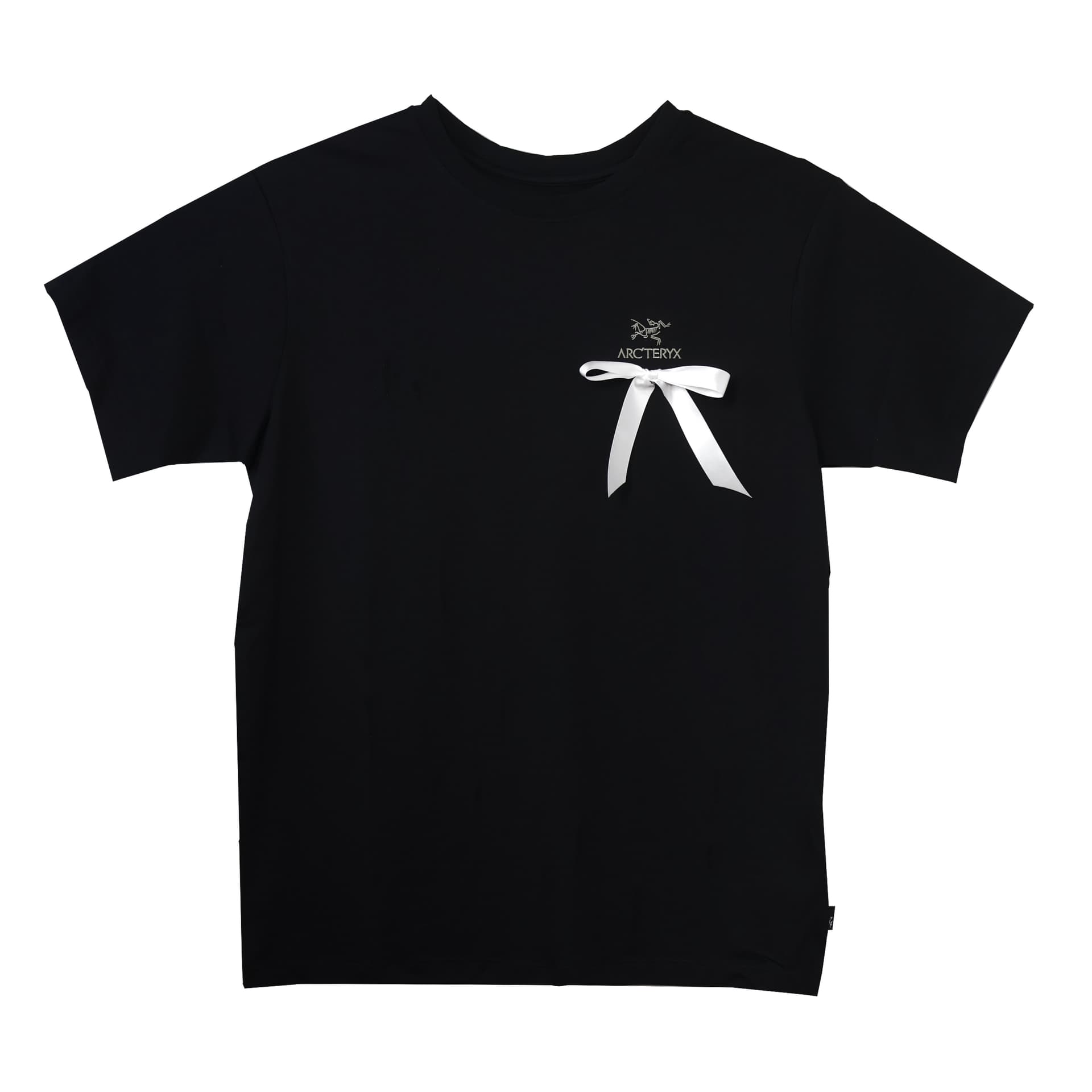 Футболка Arcteryx Emblem EMBLEM logo T - изображение 1