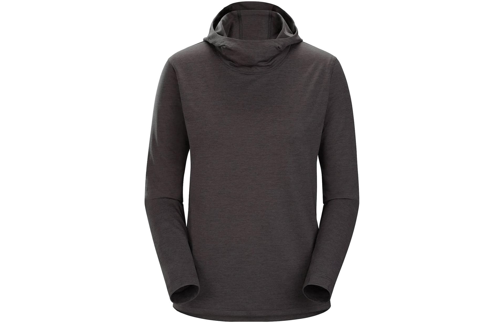 Футболка Arcteryx Taema Hoody W T - изображение 4
