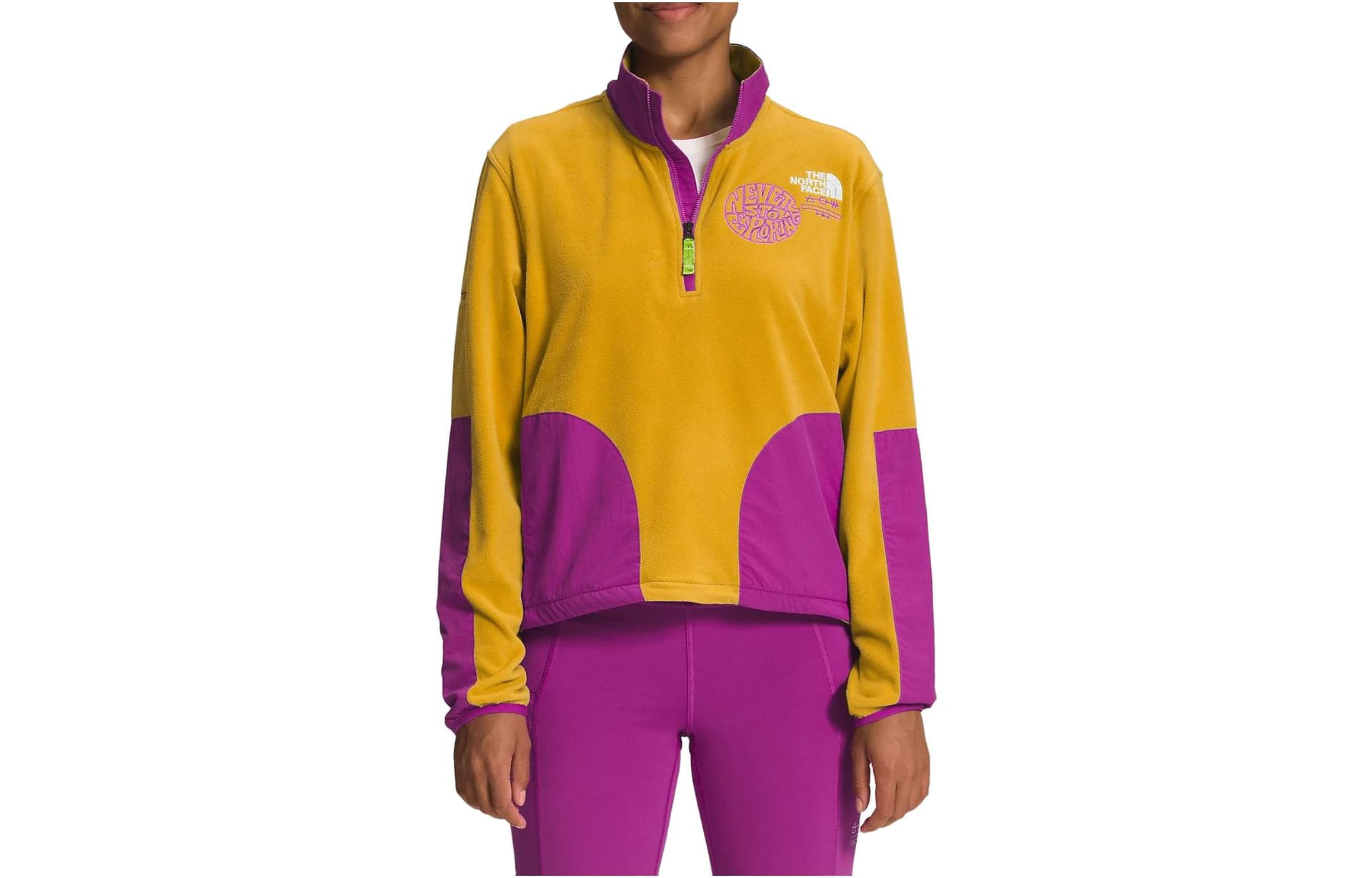Худи THE NORTH FACE Logo - изображение 1