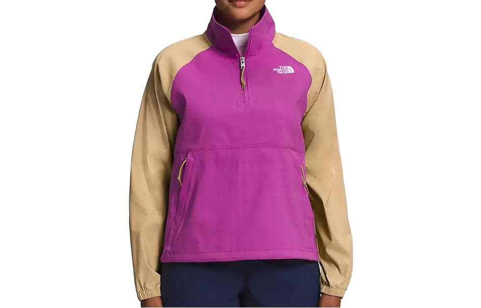 Худи THE NORTH FACE Logo - изображение 1
