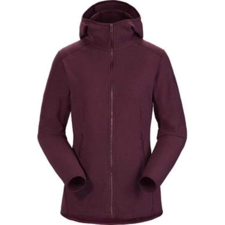 Худи Arcteryx Delta Lt Hoody - изображение 1