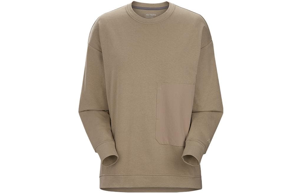 Худи Arcteryx MOMENTA CREW LS Logo - изображение 1
