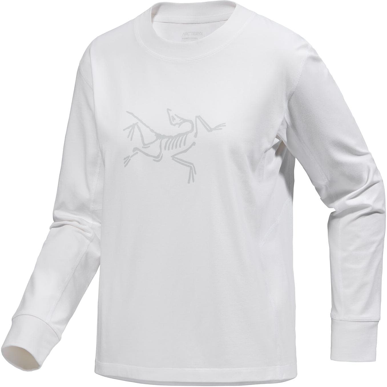 Худи Arcteryx Archaeopteryx