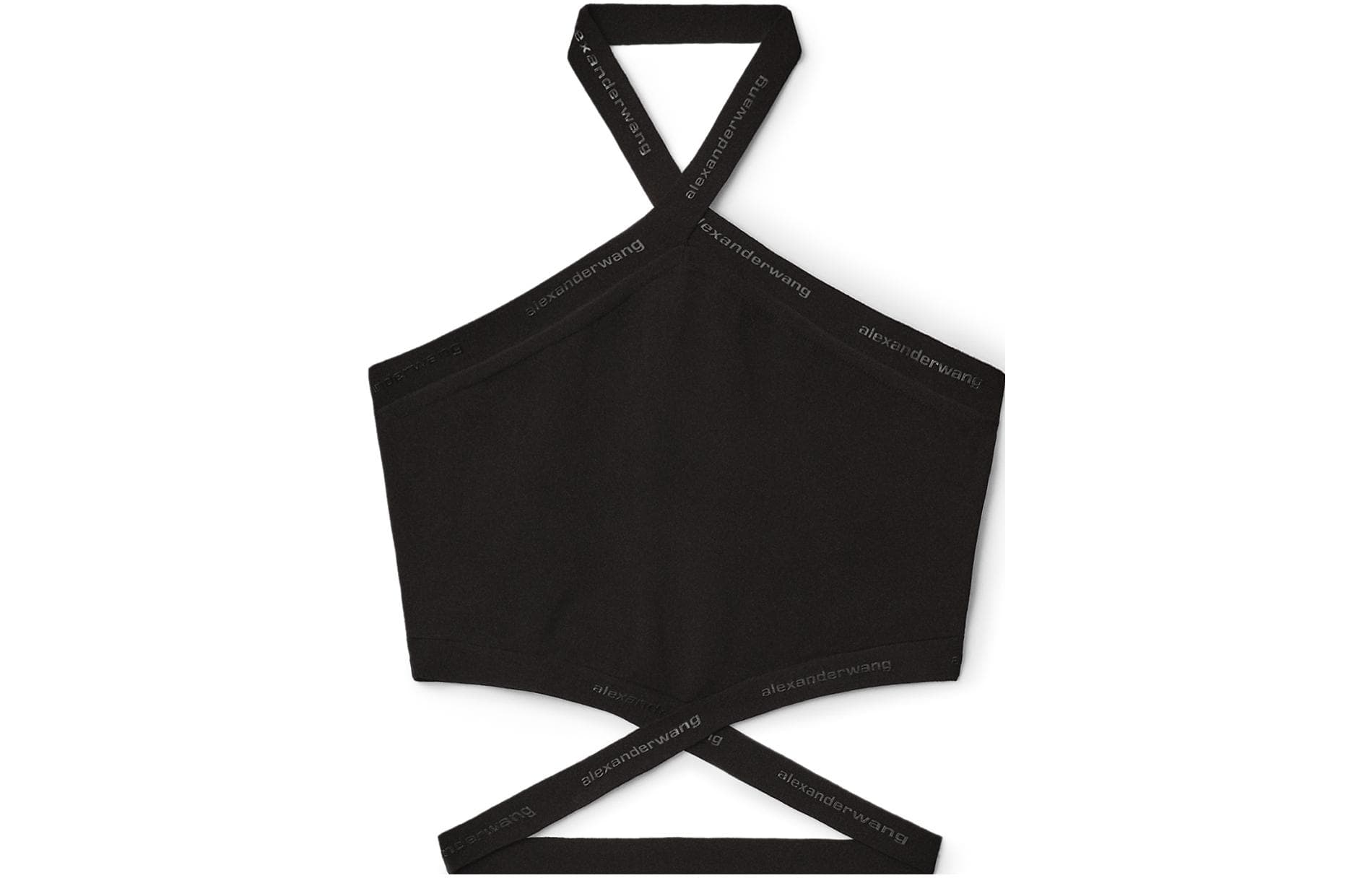 alexander wang SS23 Logo - изображение 1