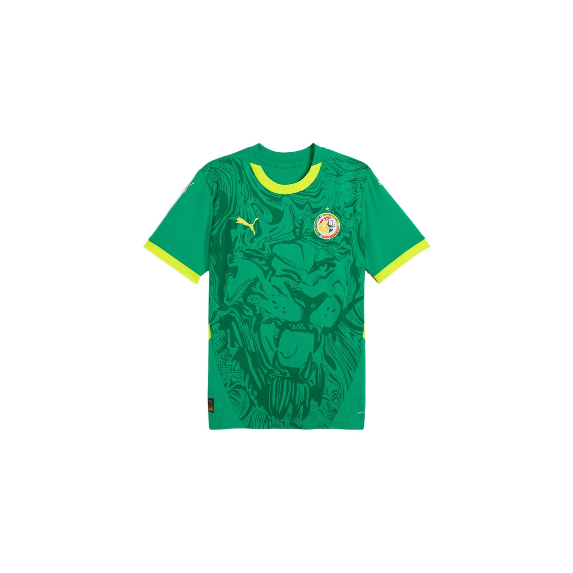 PUMA Senegal National Team Футболка для спорта Мужская Спортивная Зеленая Электрическое свечение Желтая - изображение 1