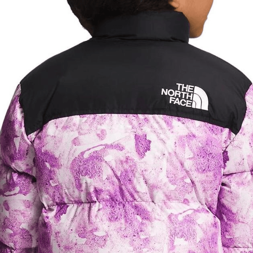 THE NORTH FACE Logo - изображение 4