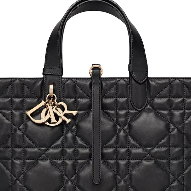 Сумка DIOR Toujours - изображение 6