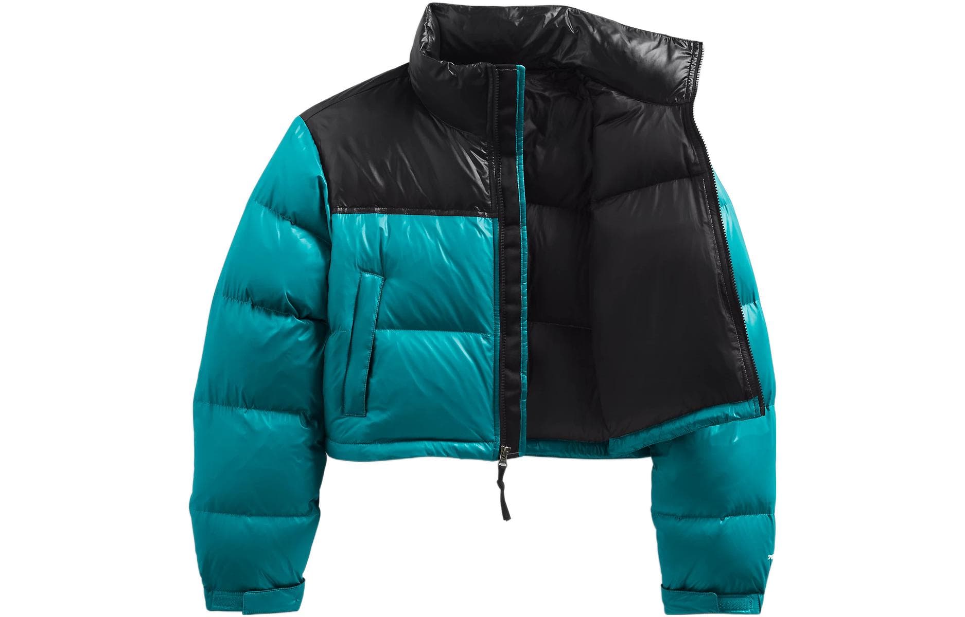 Куртка THE NORTH FACE FW22 Logo - изображение 1