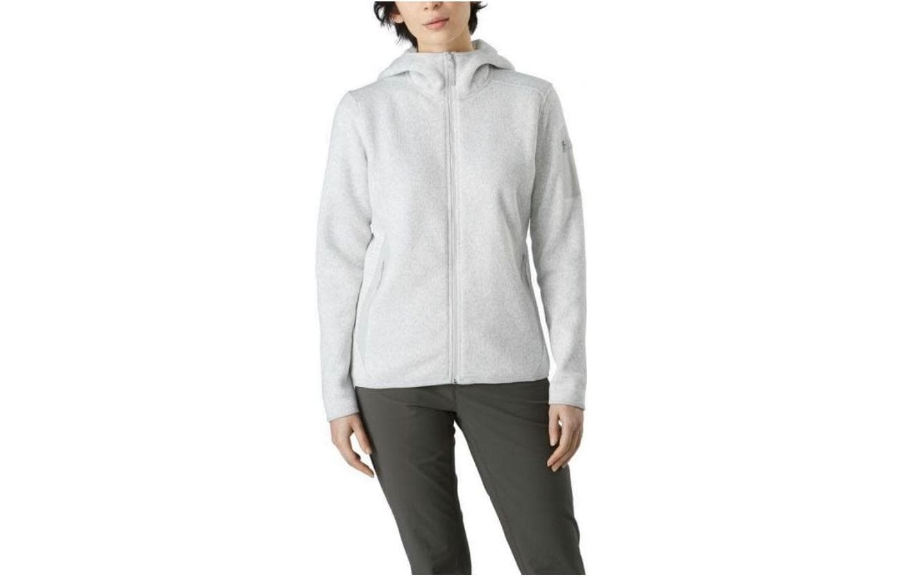 Куртка Arcteryx Covert Hoody Logo - изображение 5