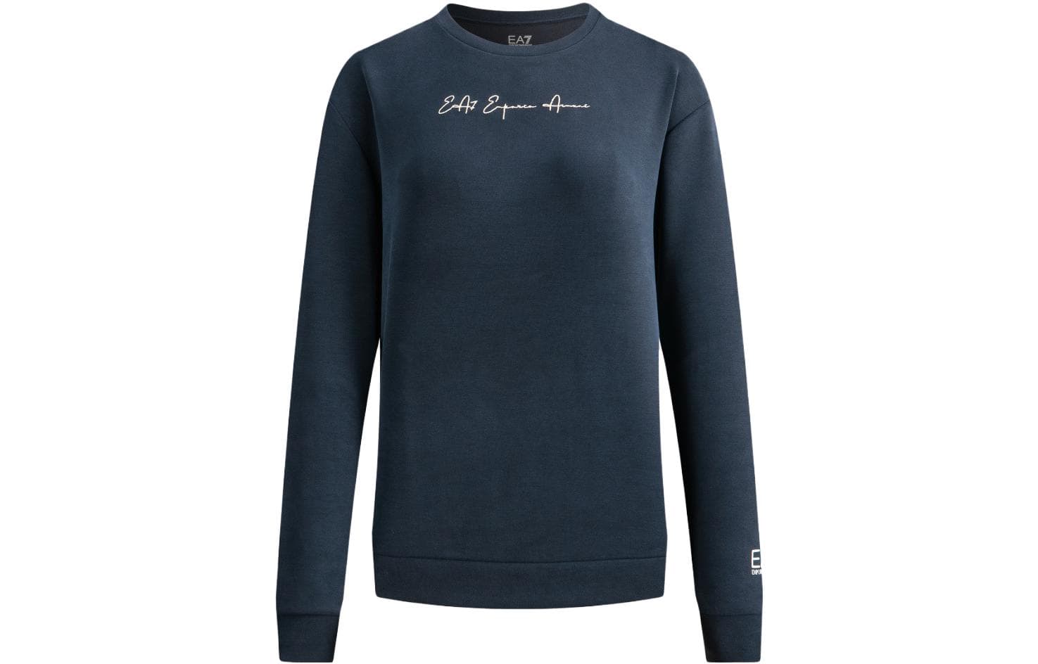 Худи EMPORIO ARMANI EA7 FW23 Logo - изображение 1