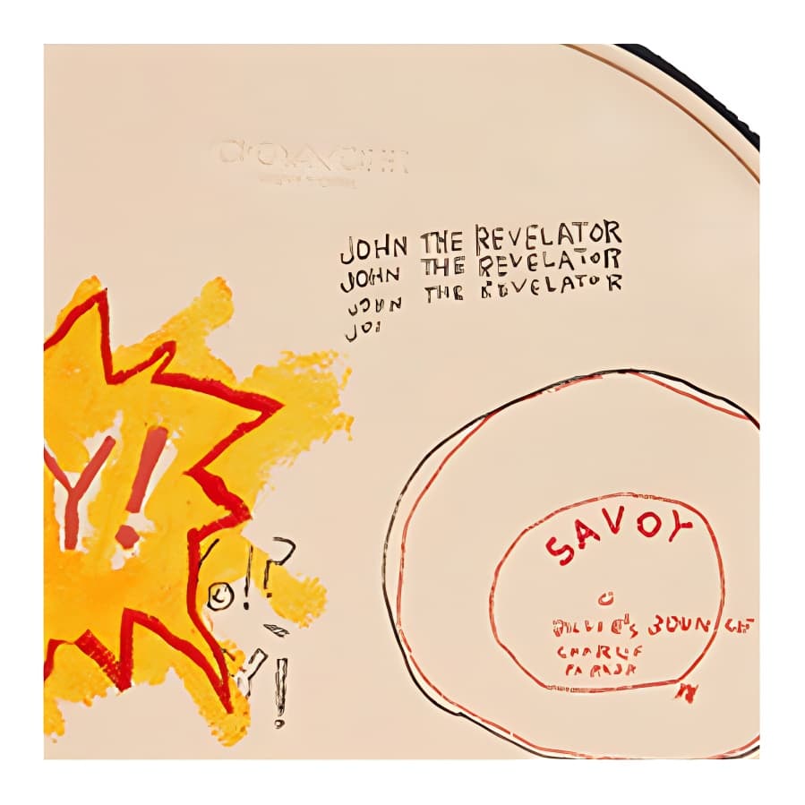 Мини-сумка COACH x Basquiat Canteen - изображение 5