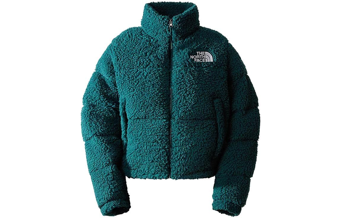 Куртка THE NORTH FACE FW22 Logo - изображение 1