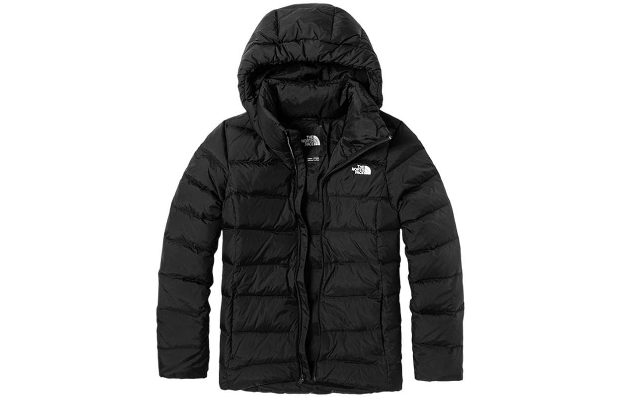 Пуховик THE NORTH FACE Logo550 - изображение 1