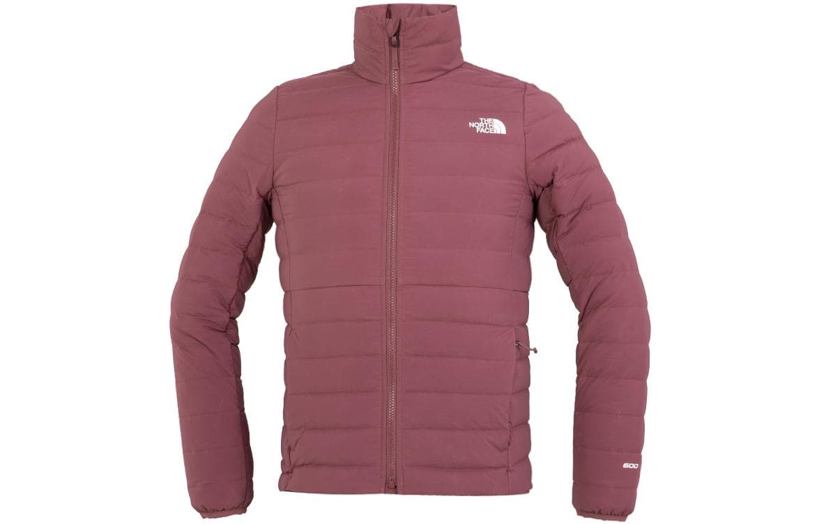 Пуховик THE NORTH FACE Logo - изображение 1