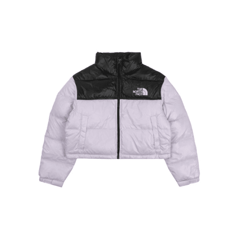 Куртка THE NORTH FACE 1996 1996 Logo - изображение 1