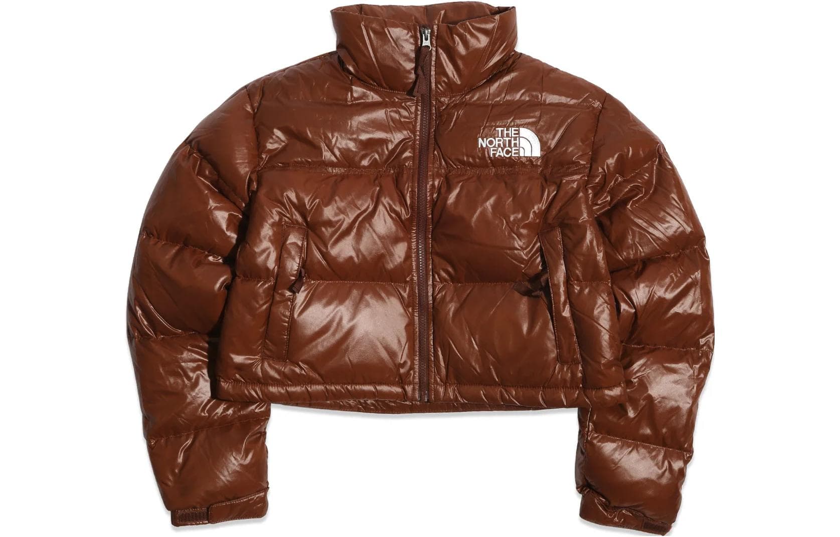 Пуховик THE NORTH FACE Logo - изображение 1