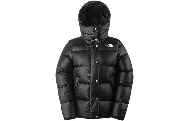 Пуховик THE NORTH FACE Logo700 - изображение 1