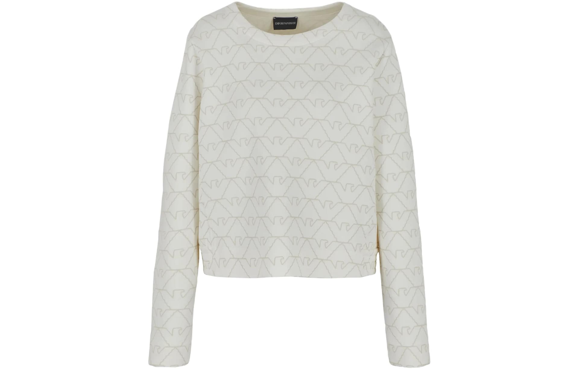 Худи EMPORIO ARMANI SS24 Logo - изображение 1