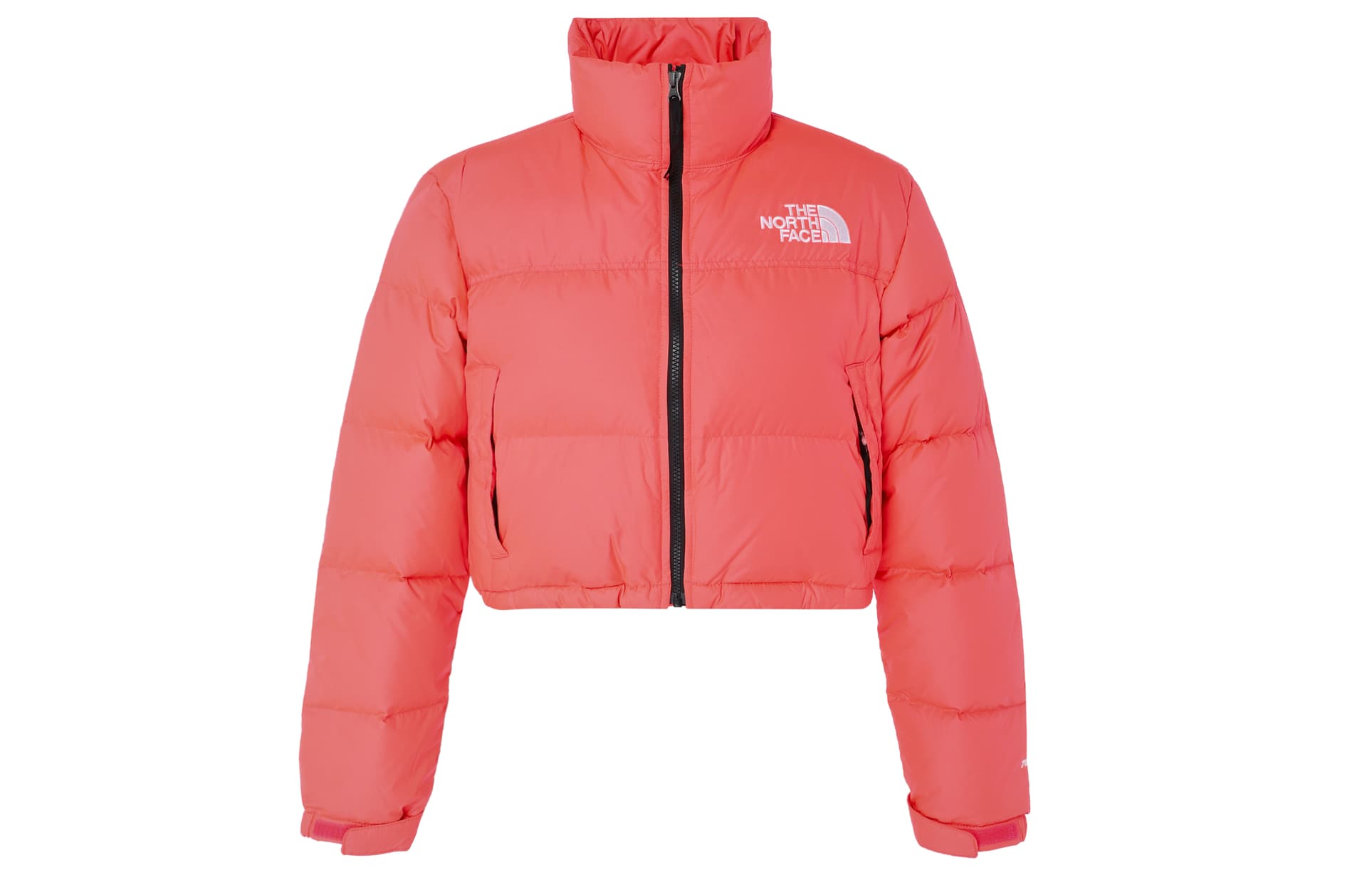 Пуховик THE NORTH FACE Logo - изображение 1