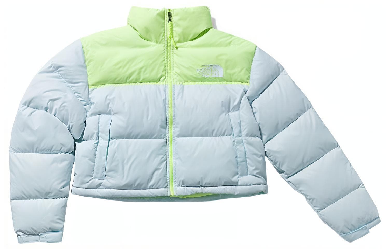 Пуховик THE NORTH FACE Logo - изображение 1