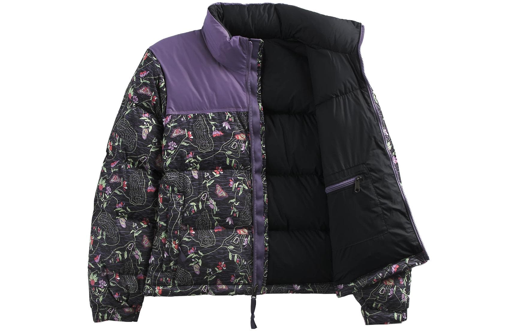 Пуховик THE NORTH FACE 1996Nuptse Logo - изображение 1