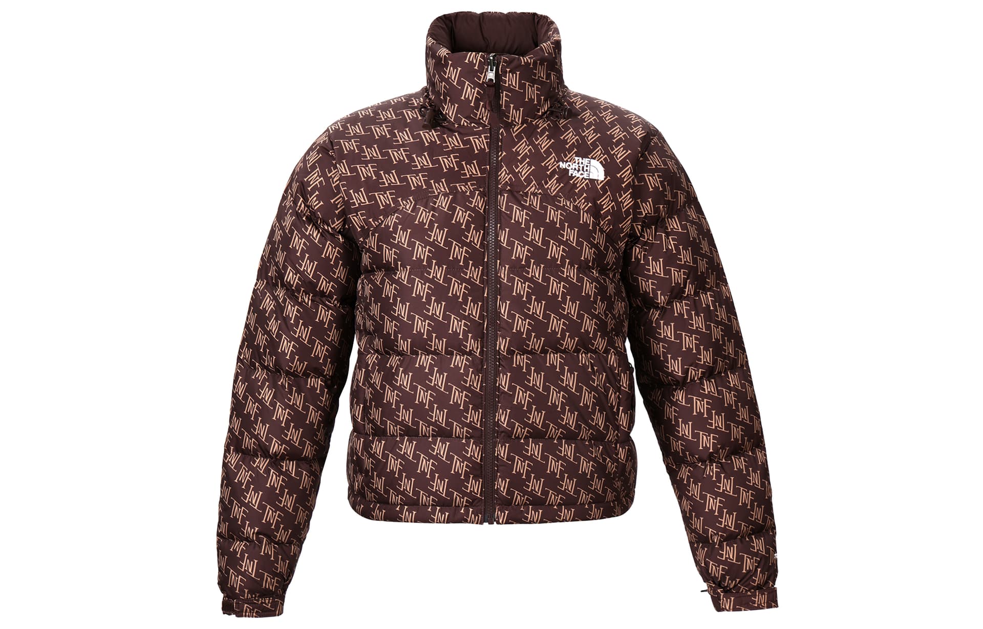Куртка THE NORTH FACE - изображение 1