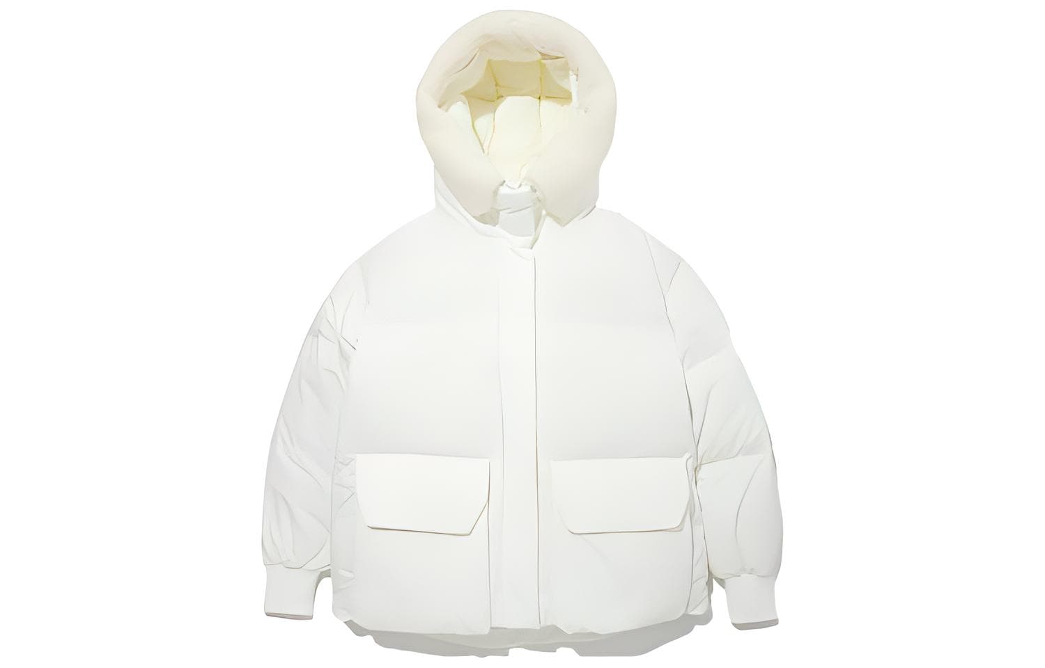 Куртка THE NORTH FACE Logo - изображение 1